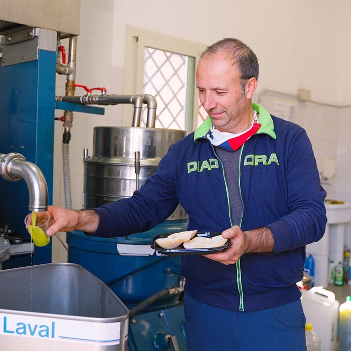 Degustazione dell'olio
